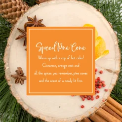 Scented Ornaments, 2-Pack- 6ct Bottle, Spiced Pine Cones, Fragrance-Infused Paper Sticks