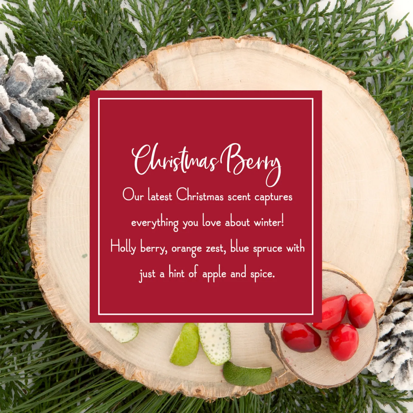 Scented Ornaments, 2-Pack- 6ct Bottle, Christmas Berry, Fragrance-Infused Paper Sticks