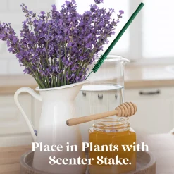 Scentsicles, 6pc Stick, 1 Sun-Soaked Lavender/1 Into the Vanilla Woods- 2 pack