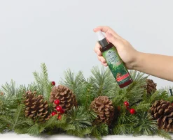 Scentsicles 6pc Stick and Spray White Winter Fir - 2 Pack