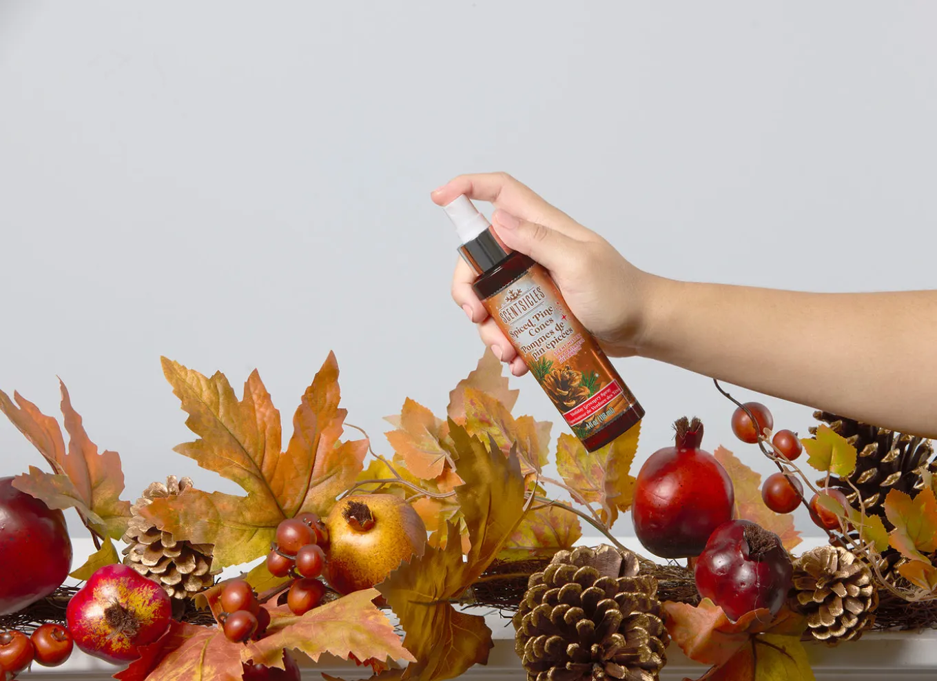 Scentsicles 6pc Stick and Spray Spiced Pine Cones - 2 Pack