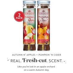 Scentsicles, 6pc Stick, Autumn 'n Apples & Pumpkin 'n Cider- 2 Pack