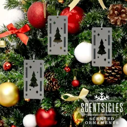 Scentsicles Trio Ornament Set of 3 and White Winter Fir Bottle of 6 Sticks